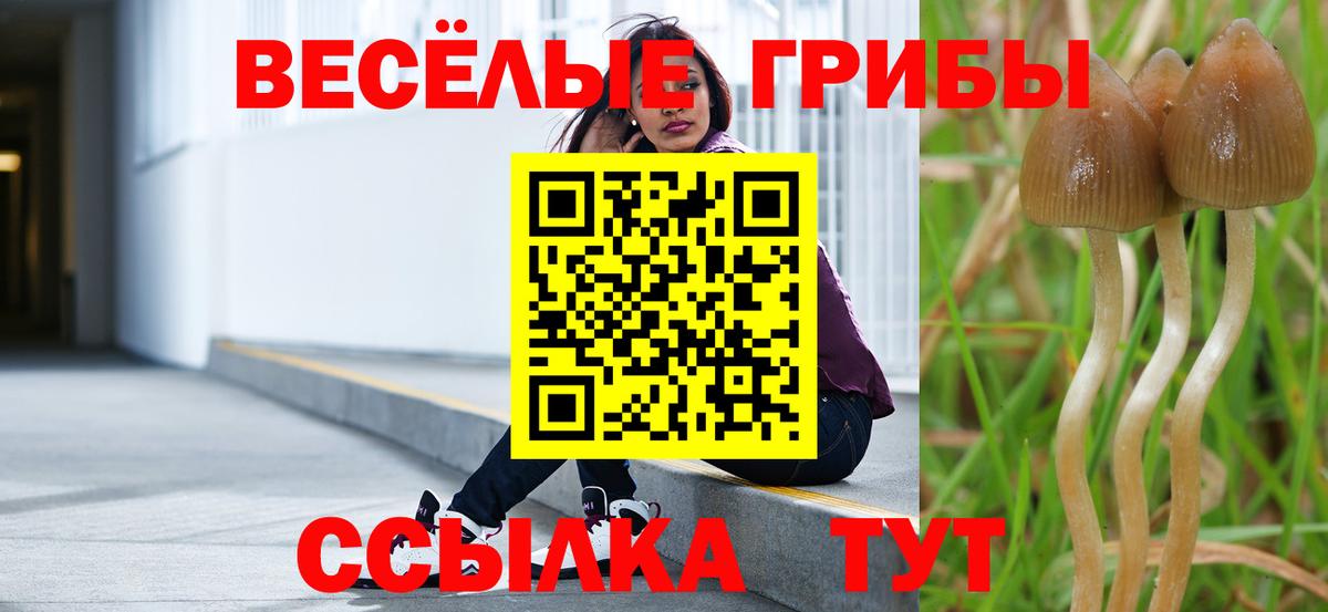 Кашира  где купить наркоту  Вход с VPN  Псилоцибиновые грибы GOLDEN TEACHER 